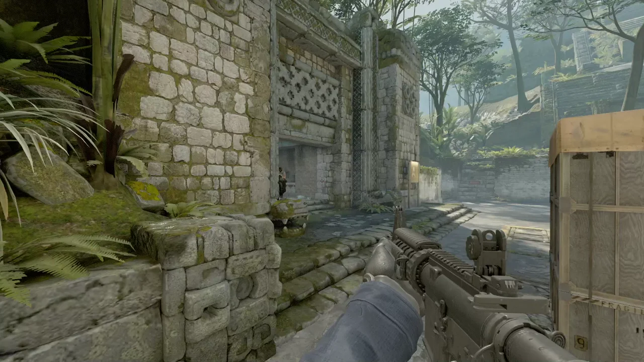 highlight